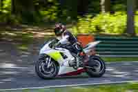 cadwell-no-limits-trackday;cadwell-park;cadwell-park-photographs;cadwell-trackday-photographs;enduro-digital-images;event-digital-images;eventdigitalimages;no-limits-trackdays;peter-wileman-photography;racing-digital-images;trackday-digital-images;trackday-photos